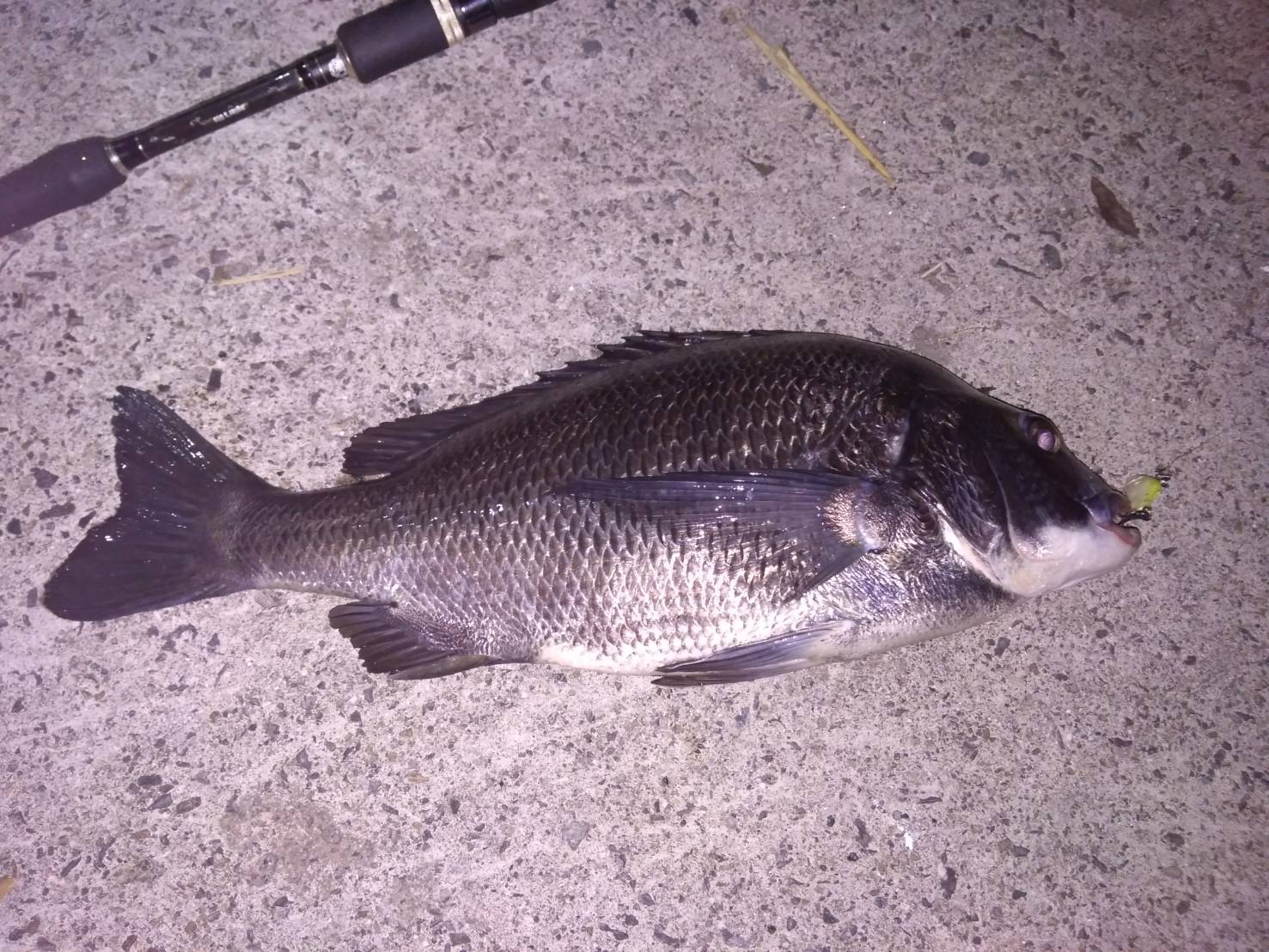 YQfP4GwMsbI5VKEx9Sy-CzAj-bqWUkmEwPtHI_i77g8V5uXuY35CyJ21W0mr-tXvxaP0UFAlry5f_1ikTiWh8jtZua0NHK9FcDAosMWmyQTynME-qVY_As_fsY2AqLzZ