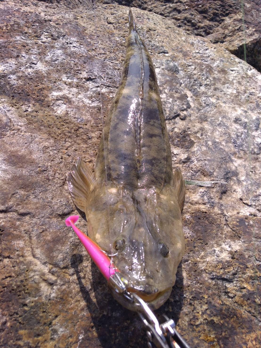 lSHdfgzKkGB6V4MRfr9JIKLodAootokKYrokPQ2wuHPNJVl88pbAKM-T5XSd8oYGqA2mdcwHWTN3xU6o_RJ10db1M_fjh0FuPfKylUcMp_L6mGu_9zDMXCOpmVZJ2odS - コピー