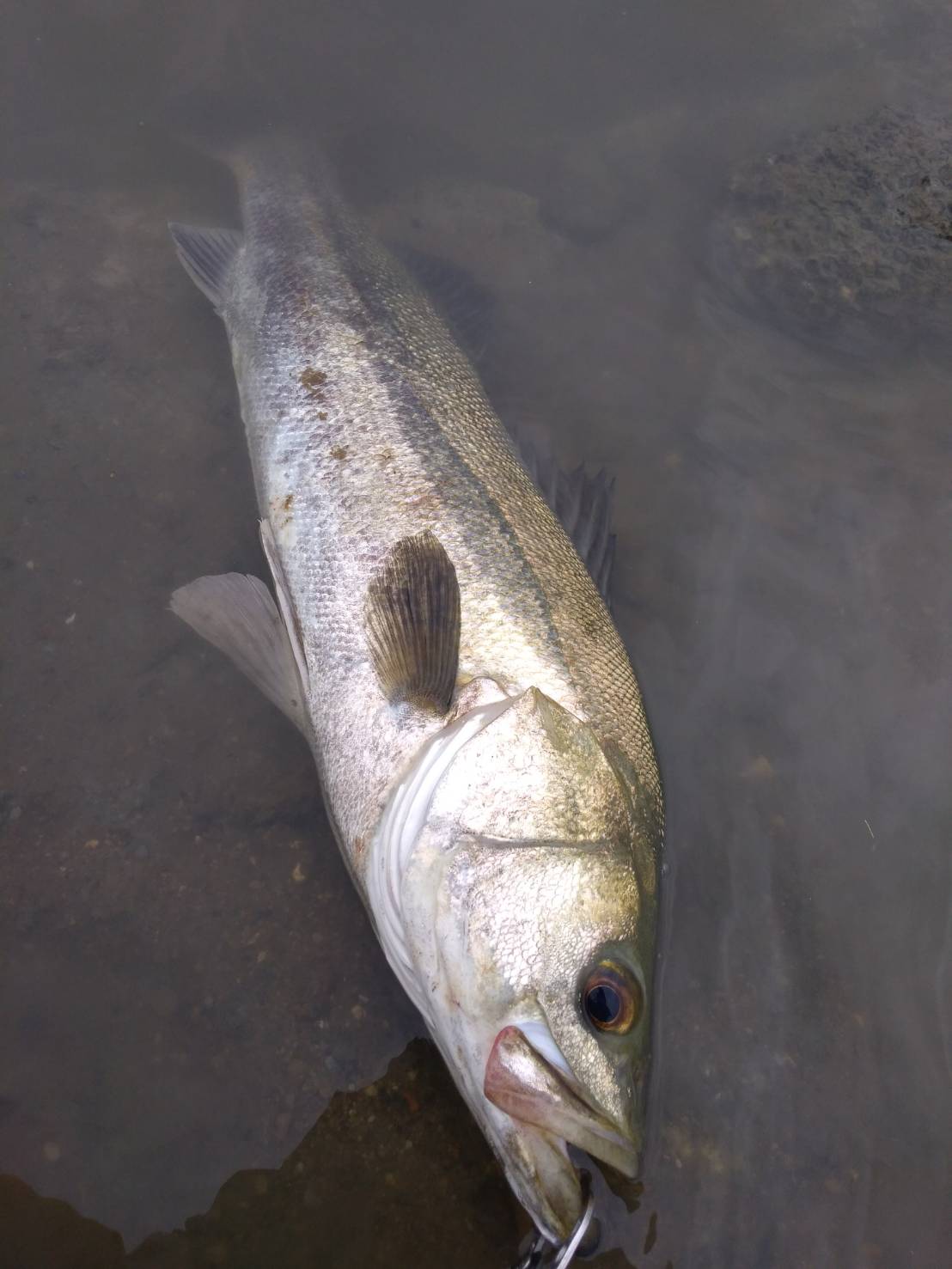 w5wgJASoxwjcUywF8hKgd5Qv7cuQQKyIhhPRF2RmCCT_-nXuudbA9U2icq1UlNz_nAisN8MVNC-9iAIVYlt0eW1rHkyEuFcP-yZnf2d62aa4AMg9eUcvB2NuzeKopmkp