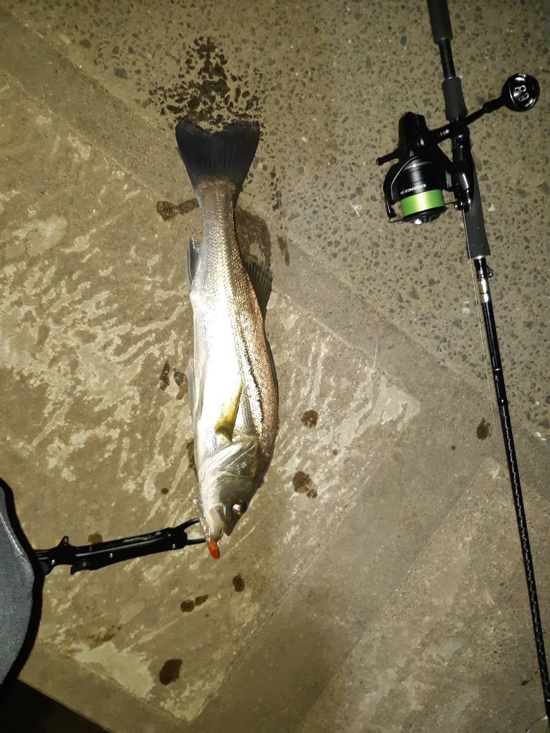 wZcFTAP4BBcQaz_dp_wt2FZj4kpppQWjkXZQEIdSnBz1q6y9gJ8aFCvfZzi8tK1_YTvglWtfC7hY9248mZoQonHJF812icfUW4-Pqx3WLq84aT8okWDDMVRd-g18YizA