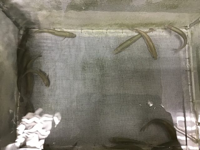 5F88C929-5F19-4568-BDC7-4C0A398F1112