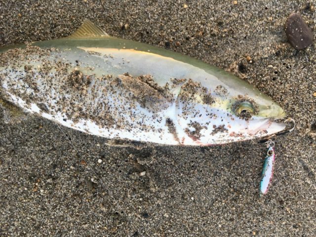 6DCF518F-5C30-4028-A068-DC1DACD0E6C4