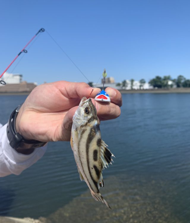 CB01669C-AA9C-40C9-977C-CED3FF7E422E