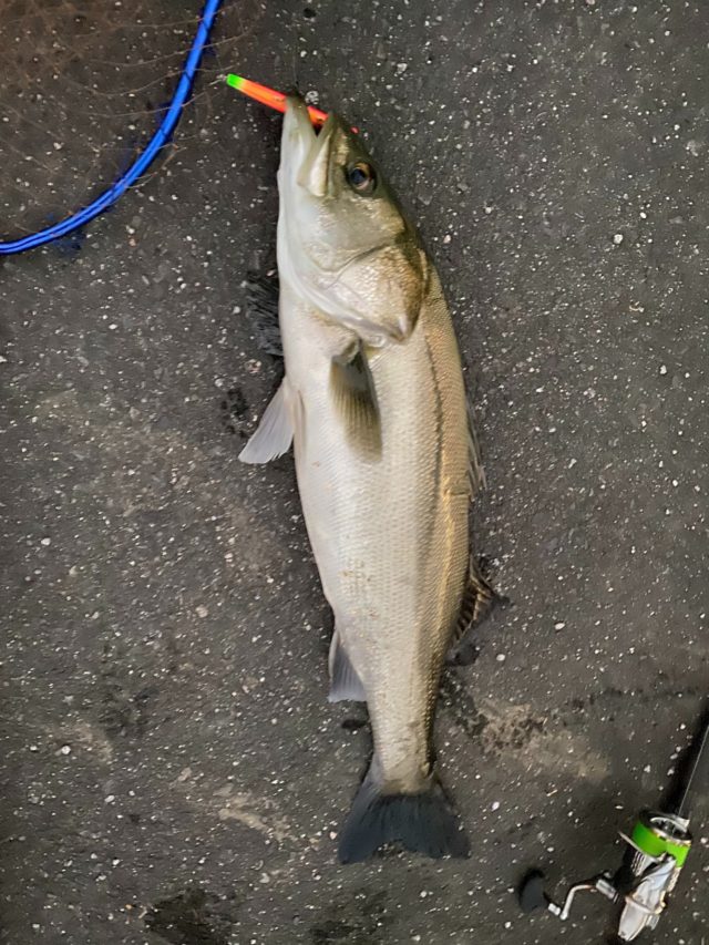 Qe3bMdcdFuS49jP0RUOqioD735vnfhujh5CVJGU4pwuEOKTpmDsU-aiXAoskpL0bpRceMekl2fw8yieOFSd0OsPYlx63_EhdFy4__s6ViM8GKCgQv1hICd_jdHDJD5iJ