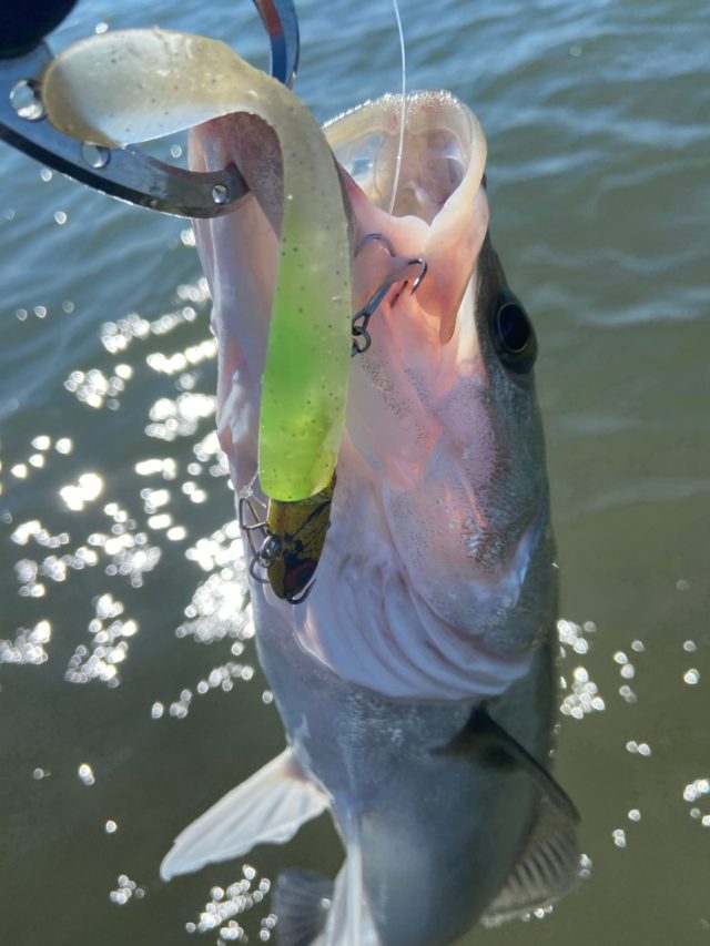 XgI-XKfnJz1RHSy460MTZjyY5w11o5fjIY200X1Z8X3bx3CHvTW4X_nC7vY9duVxbxawoSZFMAeTU_s6dDlnpIGyrt0sHWBk_TfxeQW_CaTzch75o76RHwdKORxU2Q6v