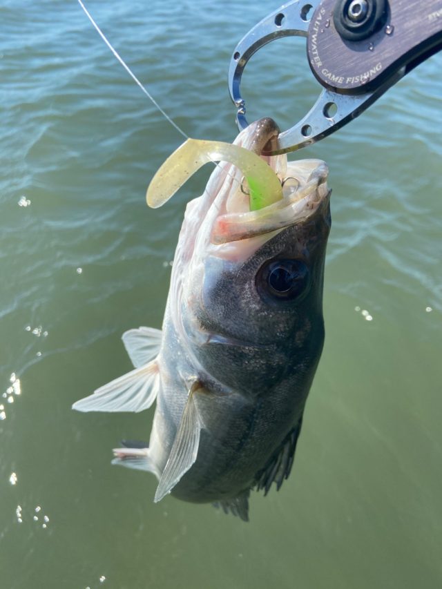 fitl4rrf1fh7VlEhXsksYfcbBWceXcqhUUU4JXnt7Qzwf8gaGck7x4SmHSmbB-K9BBskXLVZzM-CKlJOrnuye1uxh7AN5o2WQE6s68GlYp1ZNHvrOv-_0CbEB1NDIf66