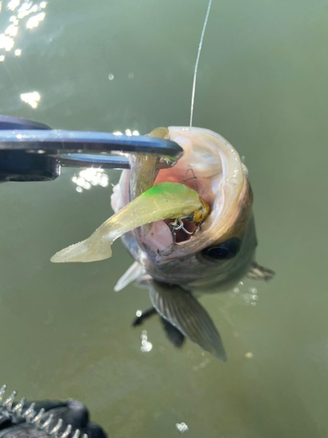 hH0gqVfRBkE3PPdrTWbVP-M7VkDyaDvxE29MTF9xImdoIxVJZ9y4Ymm6kKxZ80kqzvrVe79r2z82pSub8qGsVbOyF2UFWYjF8Qb6Guk8k9SdRy1E_Zsjt0cdHEoAhTDk