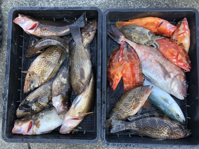 line_oa_chat_201014_181641