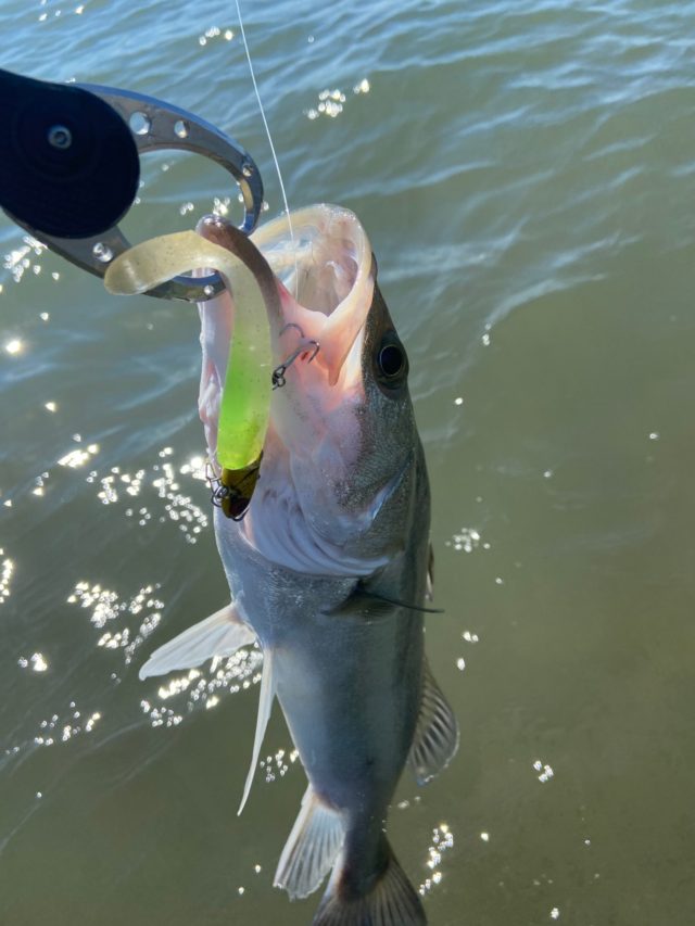 stwNDAk8RJBuuInbuokz4zdCJ_YiBaOZCCtAezwYGRmk-BFVbZqglpn2Jpg2UfrCS4UwfS8qNMcvUzY993zmhw13u6wctc8BO7_3tqUKGztdYmJZx7LSneWD1bM4eGi0