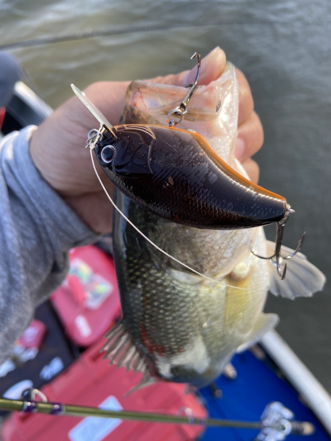 xhqYhsSnrpigvtCl6XhPHnnRpwXmRU17Kdy7FN2pFK3TXeVYJxFuGUHjnrUUCYHbtmnHmCwAhEMQpnEYsUAs1XzILZ6bATC6EVR5Ycf2fcoxJYpIcqbxwDQ5teeqrmNv