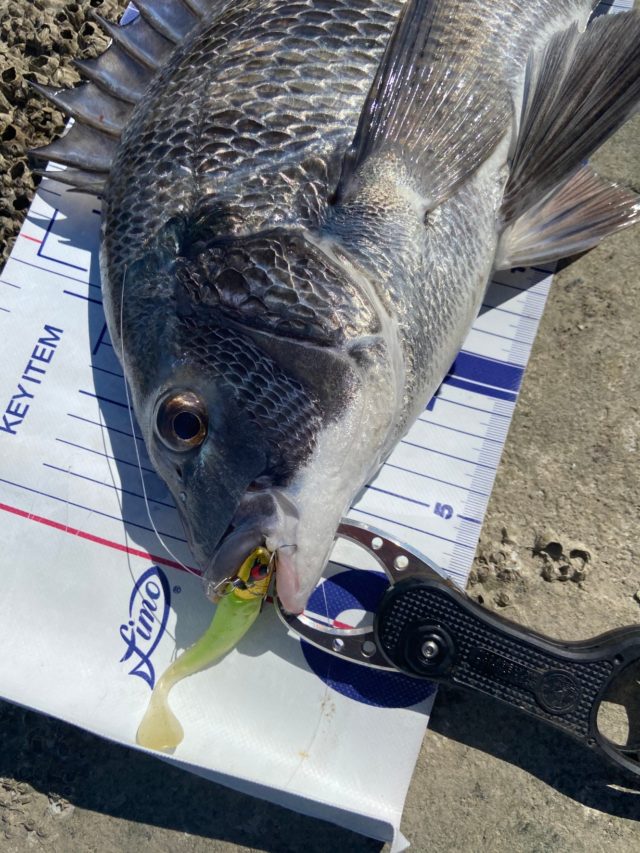 y0cW2d60DYZYicglRy2nRUpPlp7g7GCMDhYnDydl4EifYWHoDCzD-AiPwZp4gTulKM3CgZRB1Zf_AQS4XX9i20yO8znnLlxPXaH1glGrz0ASm5ArvMRoJu7LVFBkJyRk