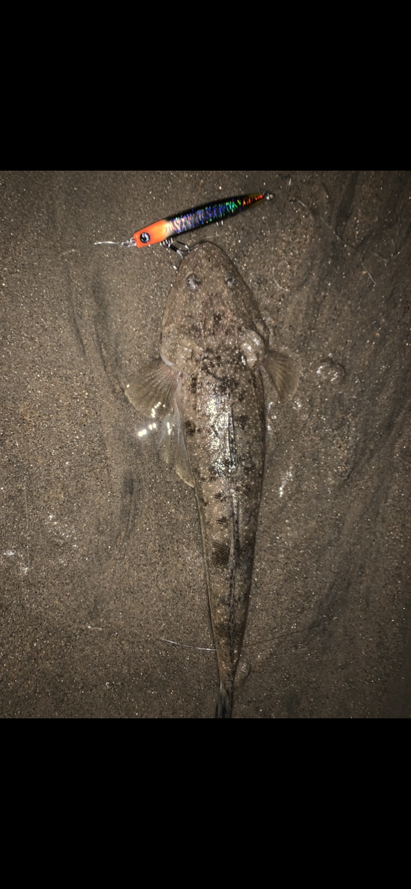 0664BB99-1BE1-4C7E-A60D-7D9593077462