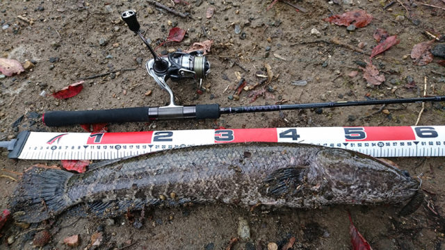 11月7日-田上英志様