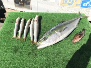 5A1DAAB6-9160-4F90-AC61-7922CBE462DB-640x480