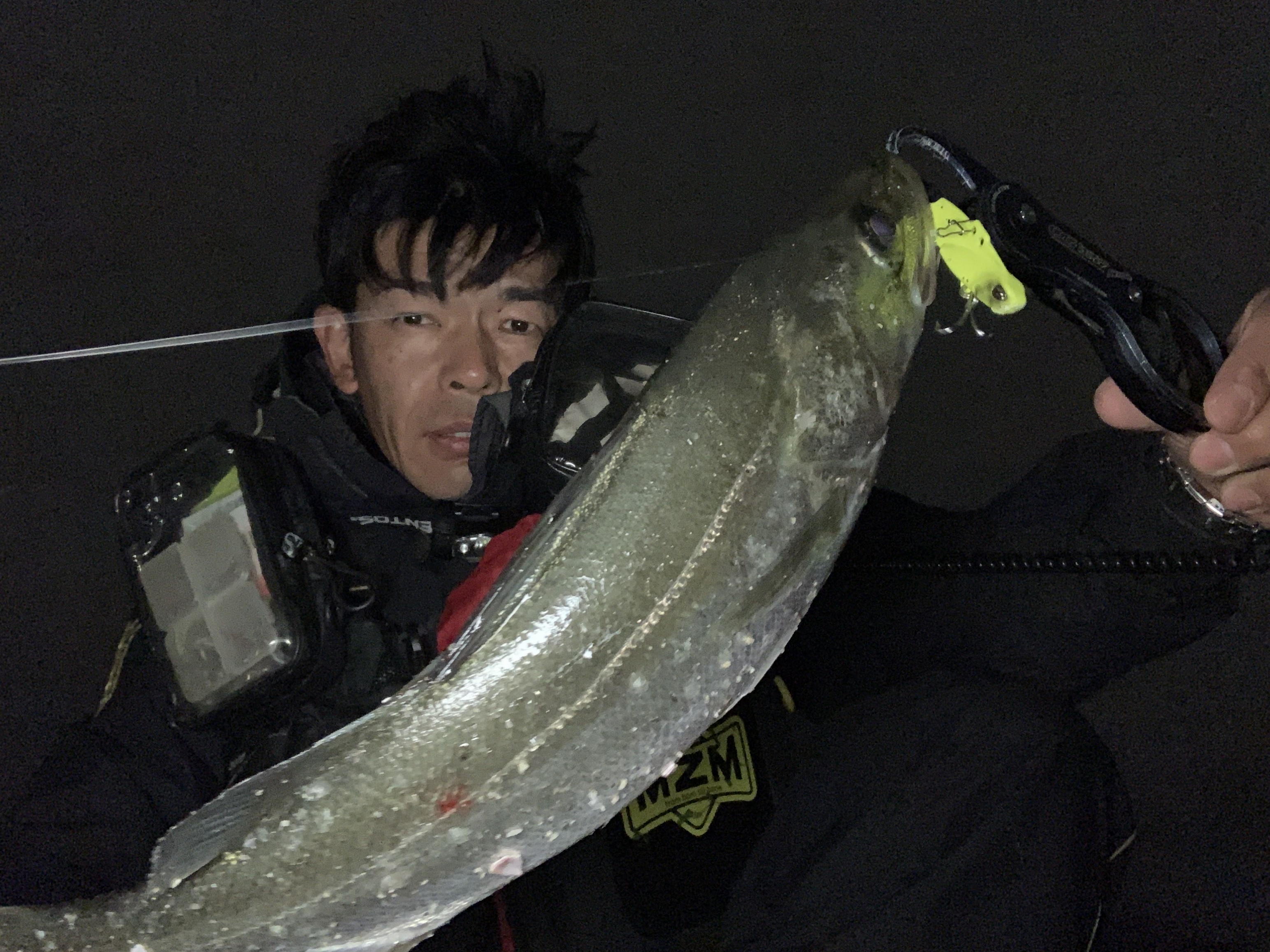 B93A16D4-EC0A-4DF3-9AE5-C8A3F72A2398