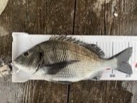 F8D3A0C9-04A2-4696-B249-53AB4FC8F816