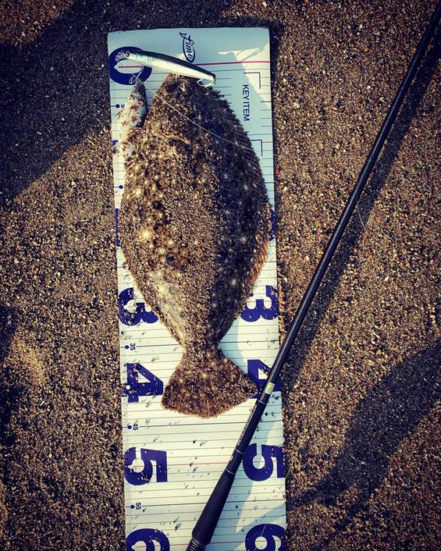 IMG_20201117_004730_958