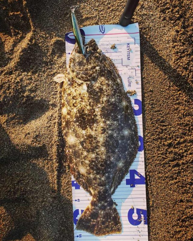 IMG_20201117_004730_960