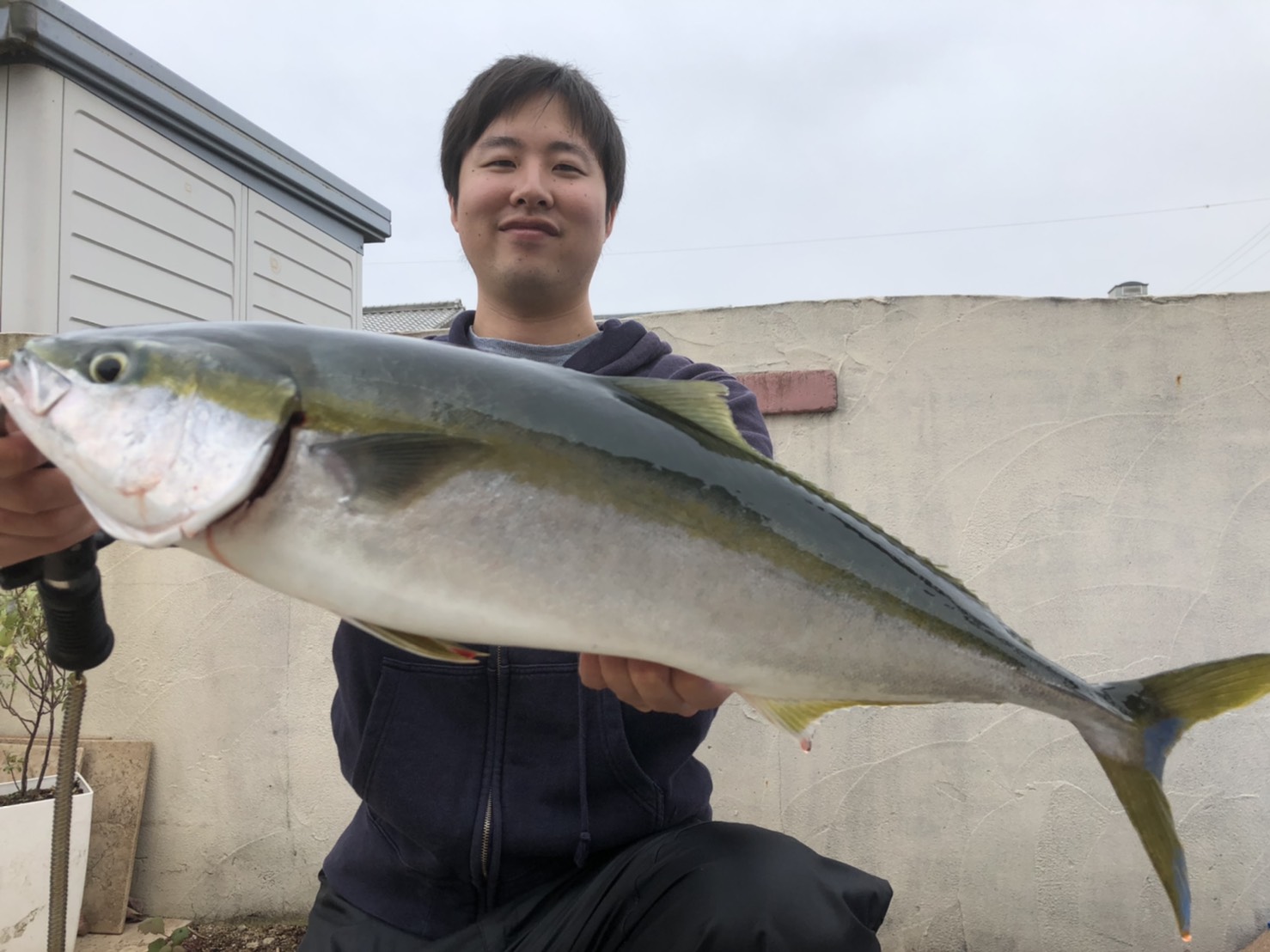 日本鋼管青物キタ フィッシング遊