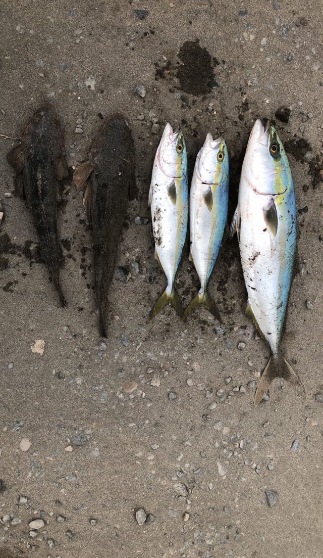 3oPIEoP4D-vQaakmkBgbKg8t9GgBIv3bvImjO_uqpr2bFesLwKhsOsretNjlNcnHff-U-dMXZtCV6wYv7a8RU3cZ2eHvYgv0mq2HLE_UP8q7wPI9vs-FN8JbVZG7bme2