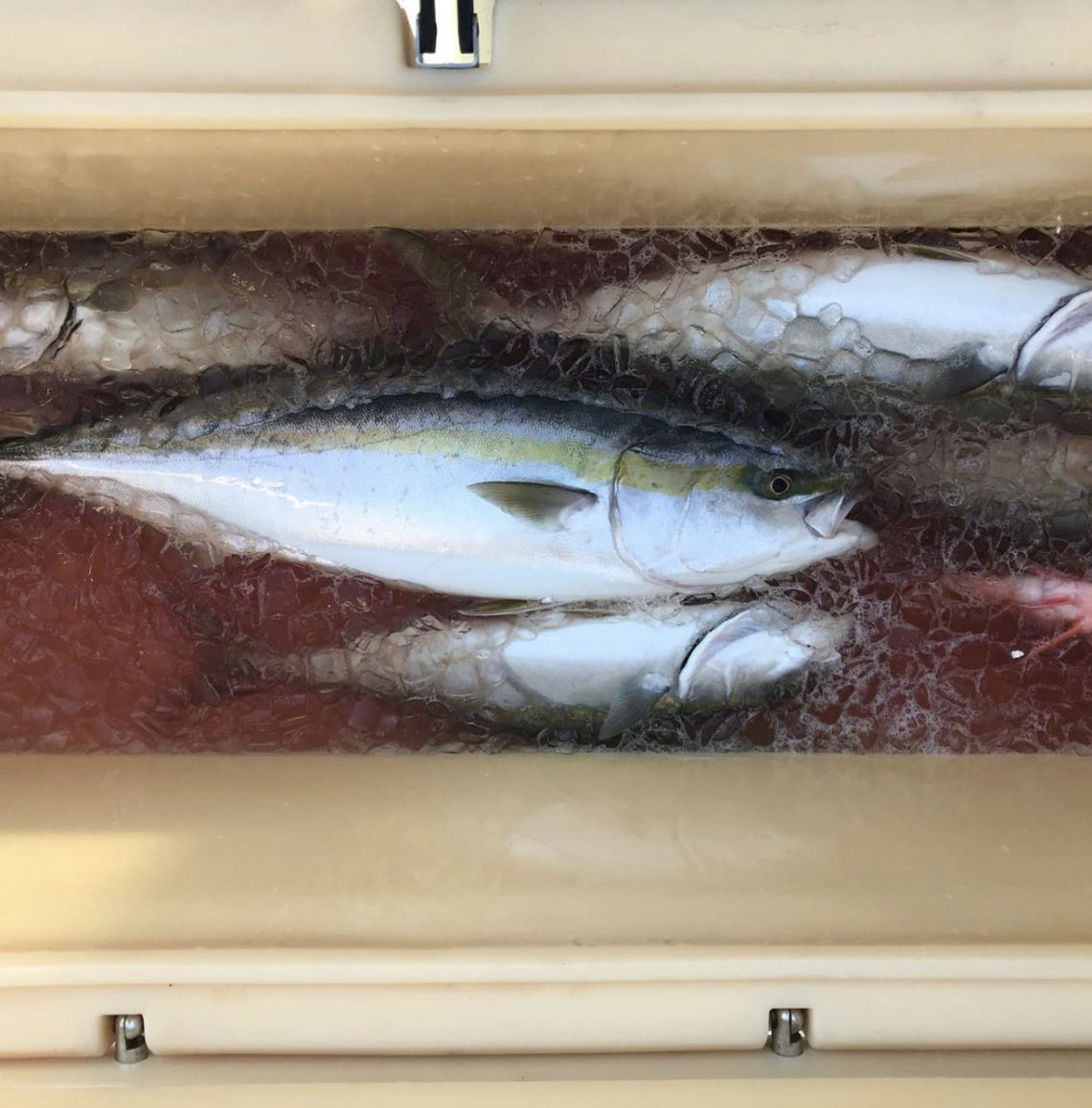 655463D3-390B-4379-AE5A-552FC9840DBD