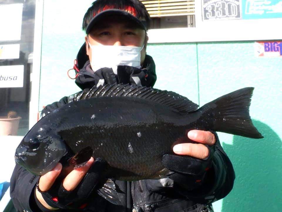 FB_IMG_1608273681632