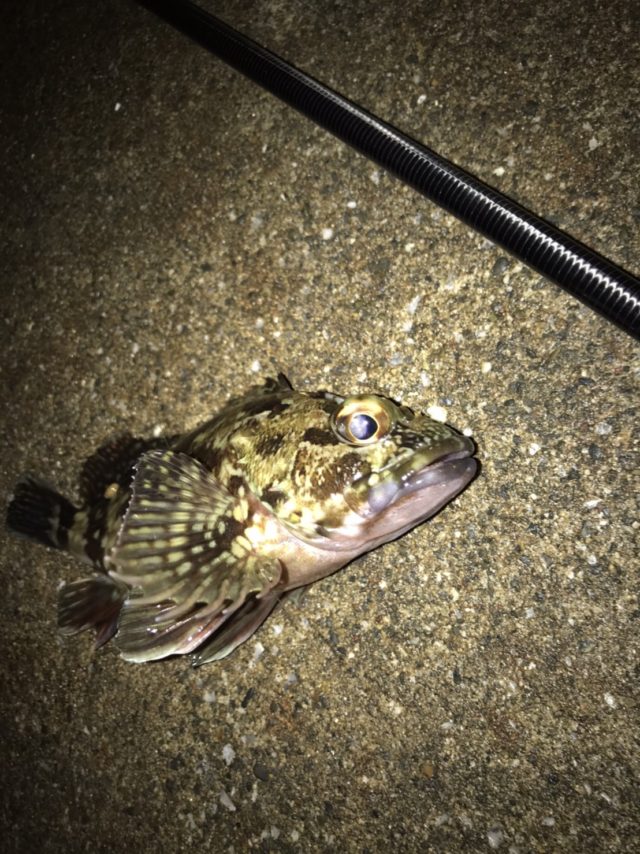 G1aeiLSVycduWlOQGLu569usJHgyhvfu-MACT8WWxyxCu_xkofNnMMMVVfdrQDdz_L0uckBHcja4YhVNwE-pblIvu-iqcrVKSbcVhr7FTe3NrFu_GIuNgPOB-9DKNSqm