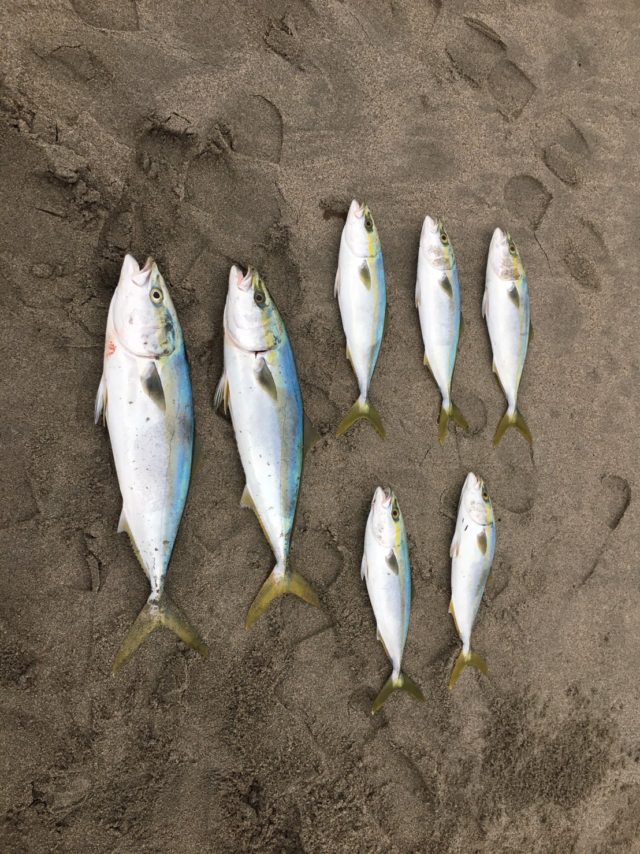 NF5RqwFcmsiwLd_Xbt_2vx5ItL1jzFs35zff8yu8aPa3Z2F0Ec5QvMfFuhjaiGa5O4_Tysfpj6VJfWQzo1BRyO0FQgI5A6KTUuA2hZaGDYpfAIt8qfmBnEWLEMs5shbQ