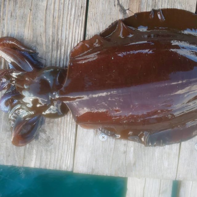 img_20201227_093123_068