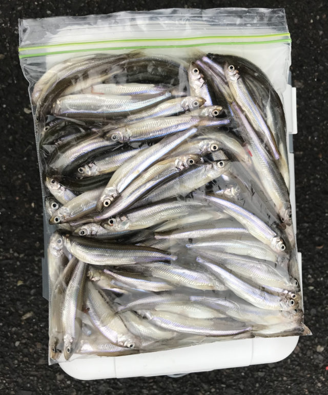 178500B7-385C-4D58-AADB-589EA3464631