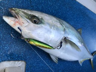 2B161773-753E-47D8-BCA9-3603D78A608A