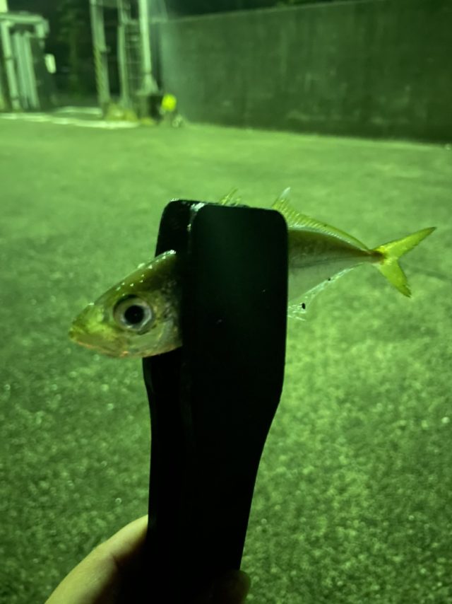 9F06A705-AAF6-4DFD-AE4A-4B5F2AC08972