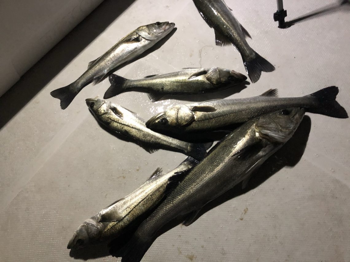 ACDF40BD-7406-43D3-82EB-B1242A438454