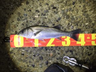 line_oa_chat_210214_165738