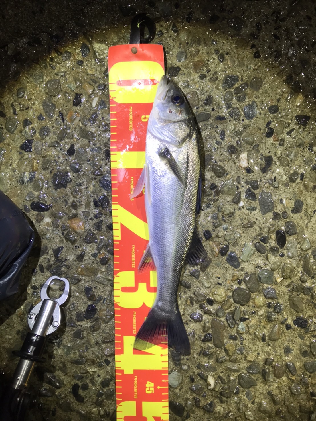 line_oa_chat_210214_165738