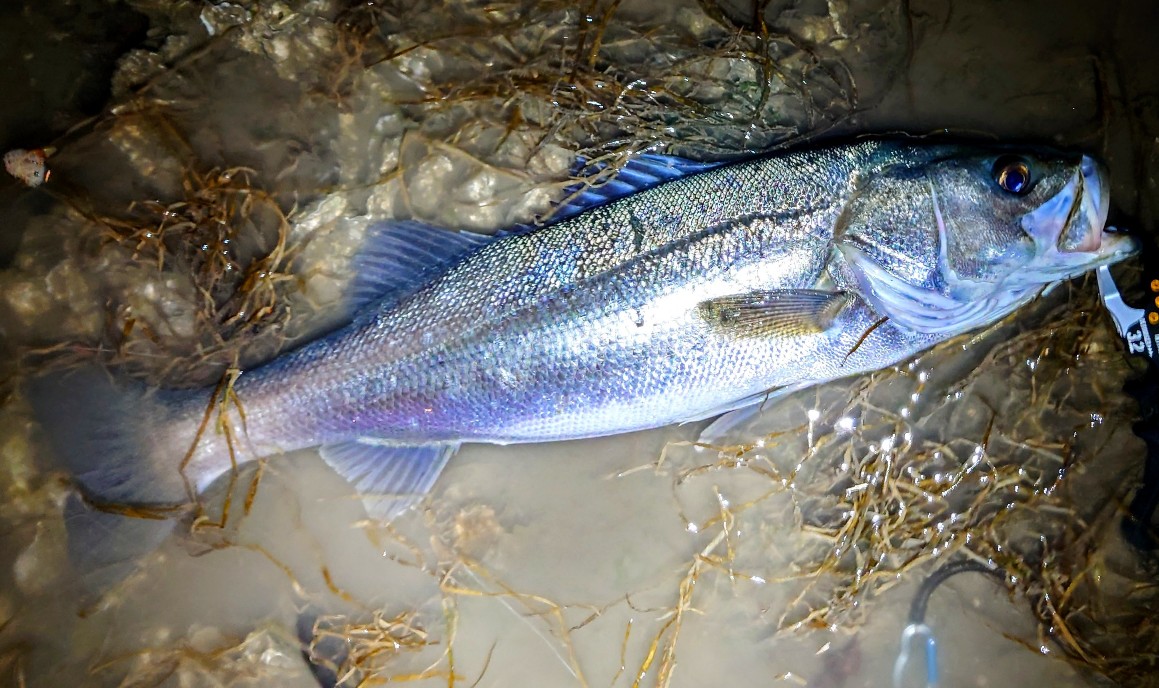 DSC_0853~6_copy_1159x688