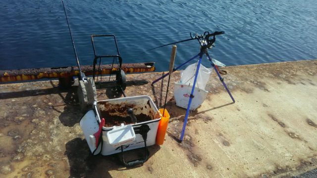 E74F7982-0D6C-419A-9A7F-2C012225F557