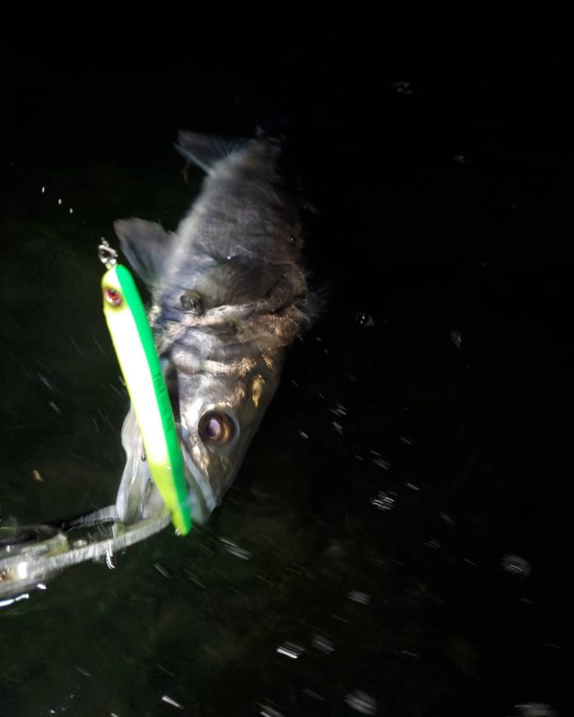 IMG_20210305_045643_925