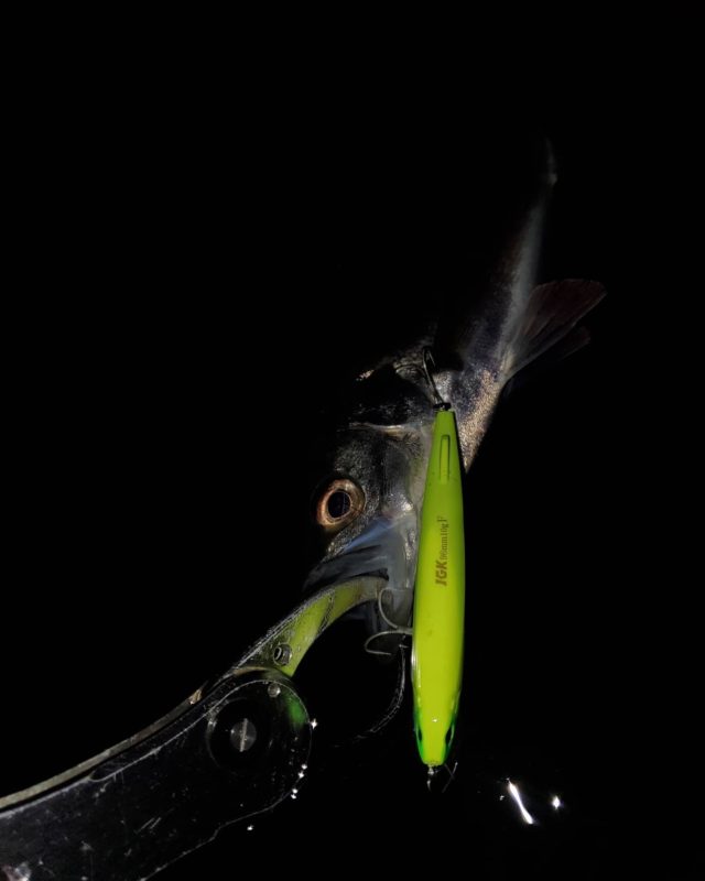 IMG_20210305_045644_007