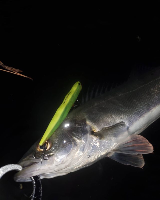 IMG_20210305_045644_028