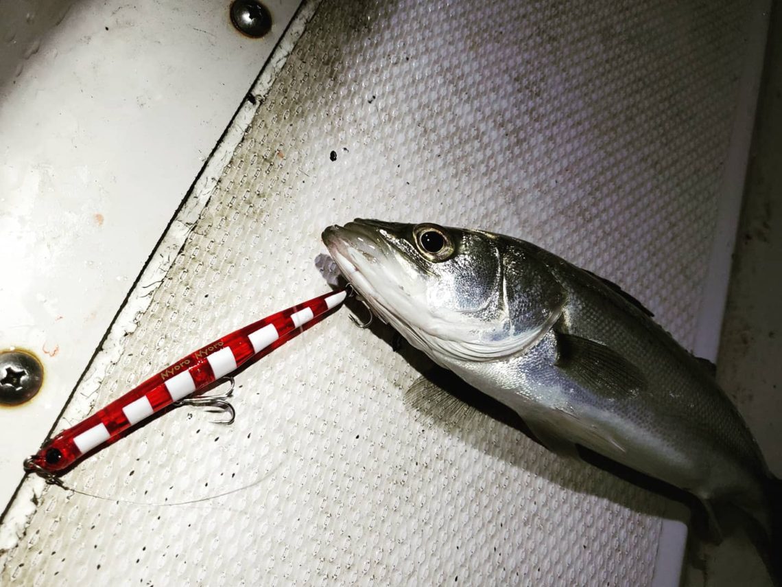 IMG_20210319_032129_161