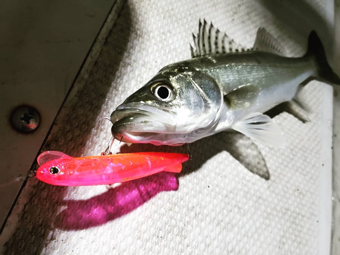 IMG_20210319_032129_210