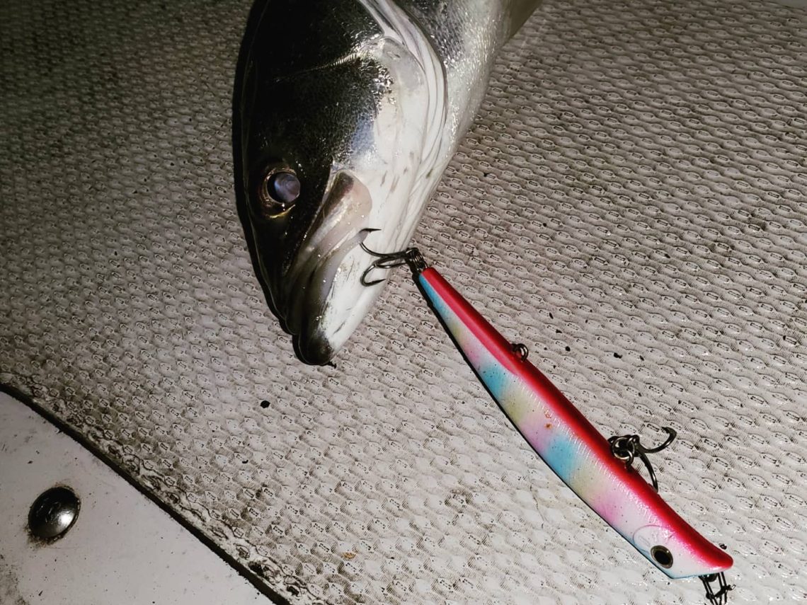 IMG_20210319_032129_247