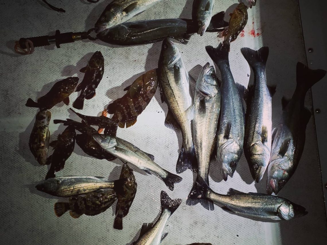 IMG_20210319_032129_298