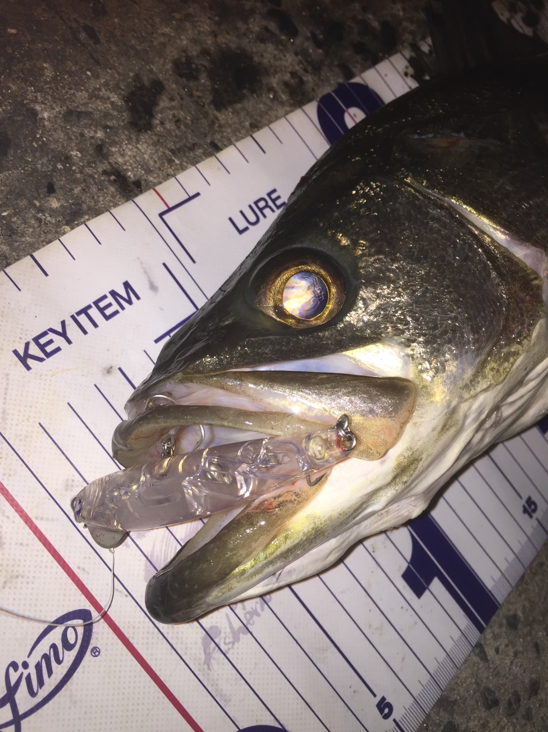 line_oa_chat_201127_144733