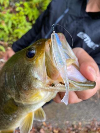 01F0D6C3-33E7-4AC6-BD5E-B1DADC24253D