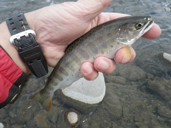 4月8日-亀尾島様1