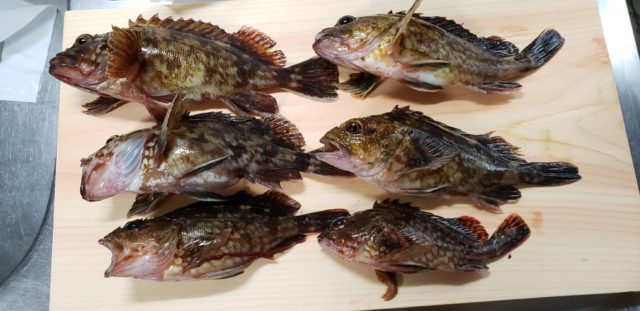 39BC6DA8-68BD-480D-989B-BF2EDE756DB8