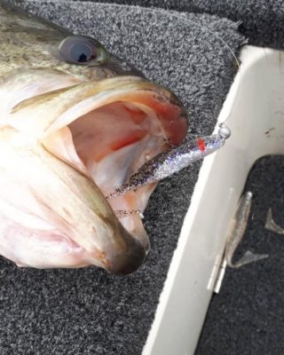 3BFA1253-3FEE-44D9-9032-87088A589D18