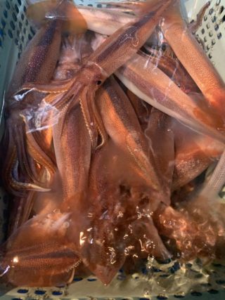 5E3DBBF3-C140-421B-BC66-034889CA231B-768x1024